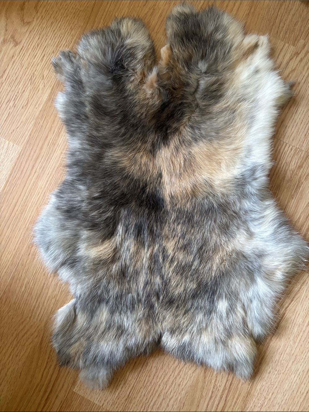 B0118rabbit pelt